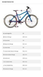 ACADEMY Grade 6 Kinderfahrrad – Bild 5