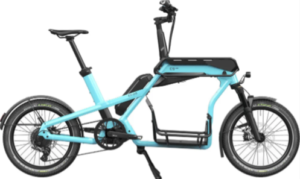 Ca Go Bike CS 100